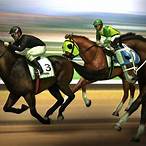 virtual horse racing bet